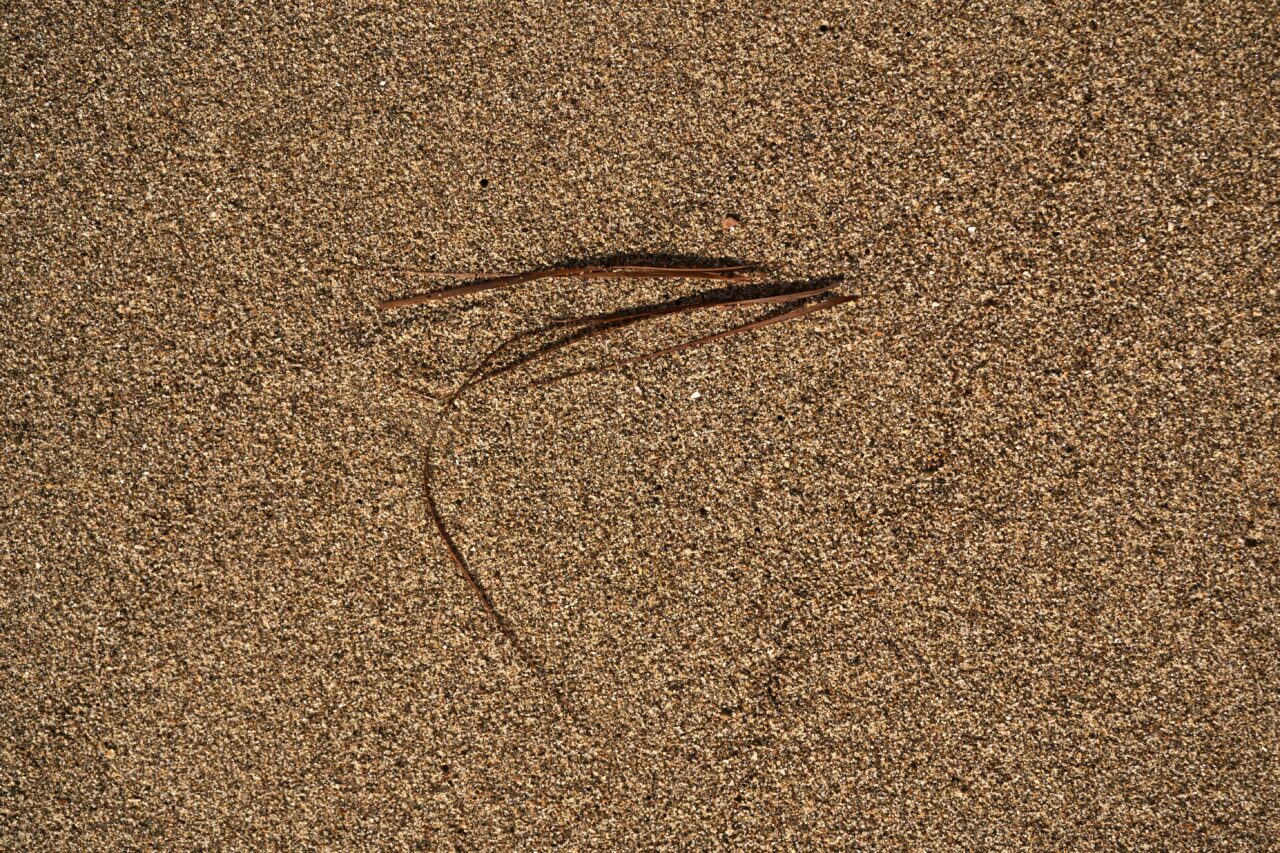 La pince à cheveux plate, l'outil discret qui change tout